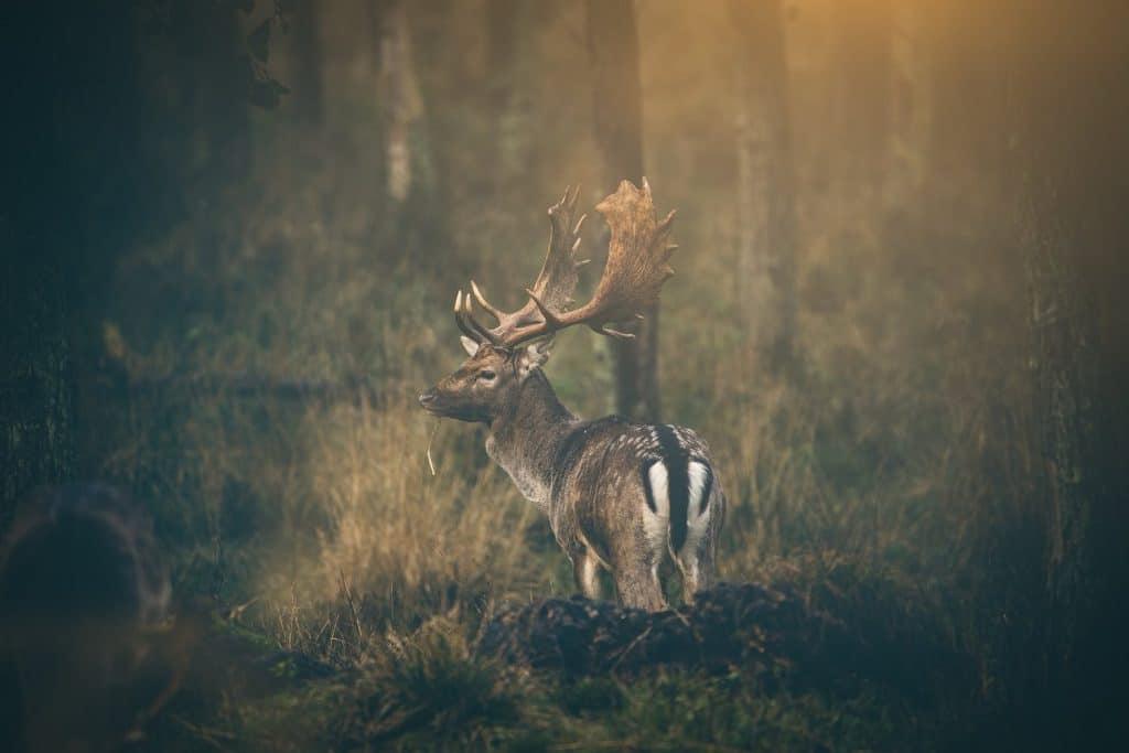 Bild-44-1024x683